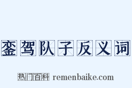 銮驾队子反义词是什么意思的图片